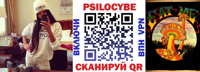где купить наркоту Южно-Сахалинск Псилоцибиновые грибы мицелий